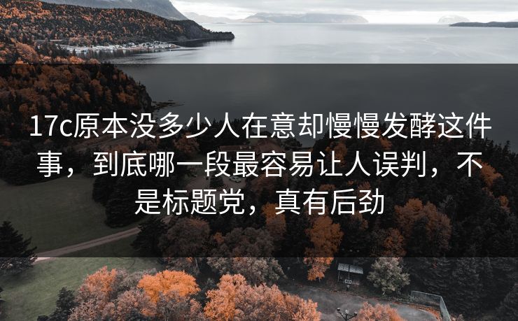 17c原本没多少人在意却慢慢发酵这件事，到底哪一段最容易让人误判，不是标题党，真有后劲