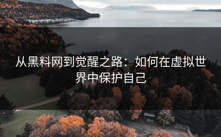 从黑料网到觉醒之路：如何在虚拟世界中保护自己