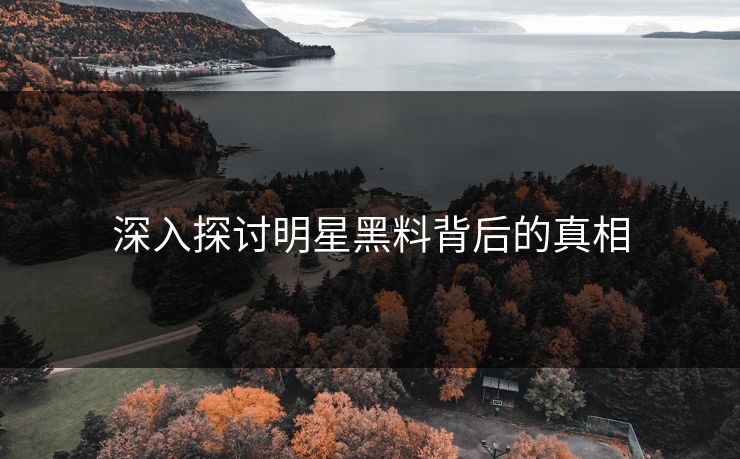 深入探讨明星黑料背后的真相  第1张