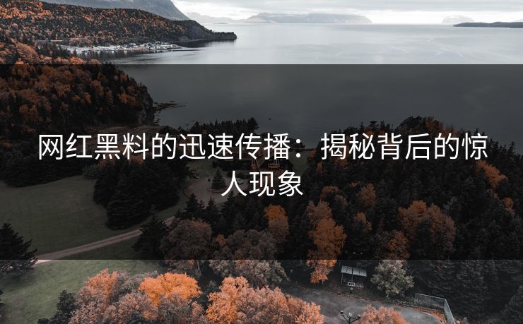 网红黑料的迅速传播：揭秘背后的惊人现象