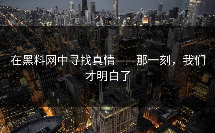 在黑料网中寻找真情——那一刻，我们才明白了  第1张