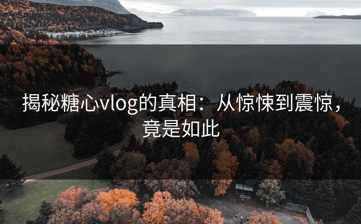 揭秘糖心vlog的真相：从惊悚到震惊，竟是如此  第1张